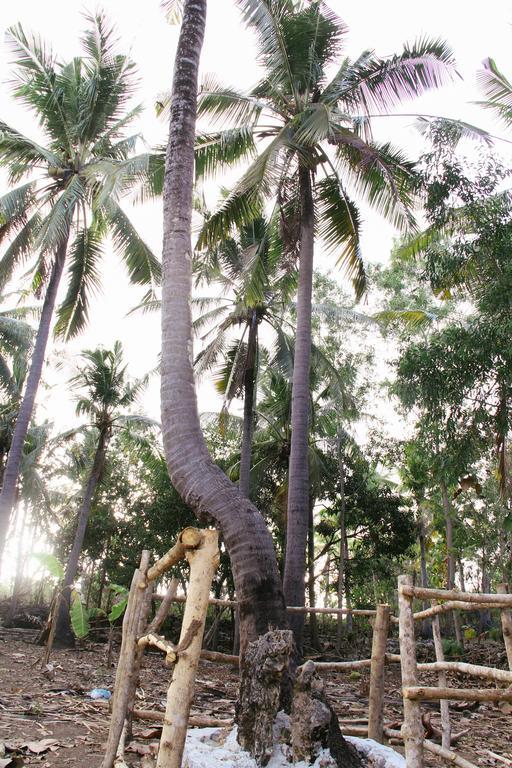 Nyuh Bengkok Tree House Hotel Batununggul Exterior photo