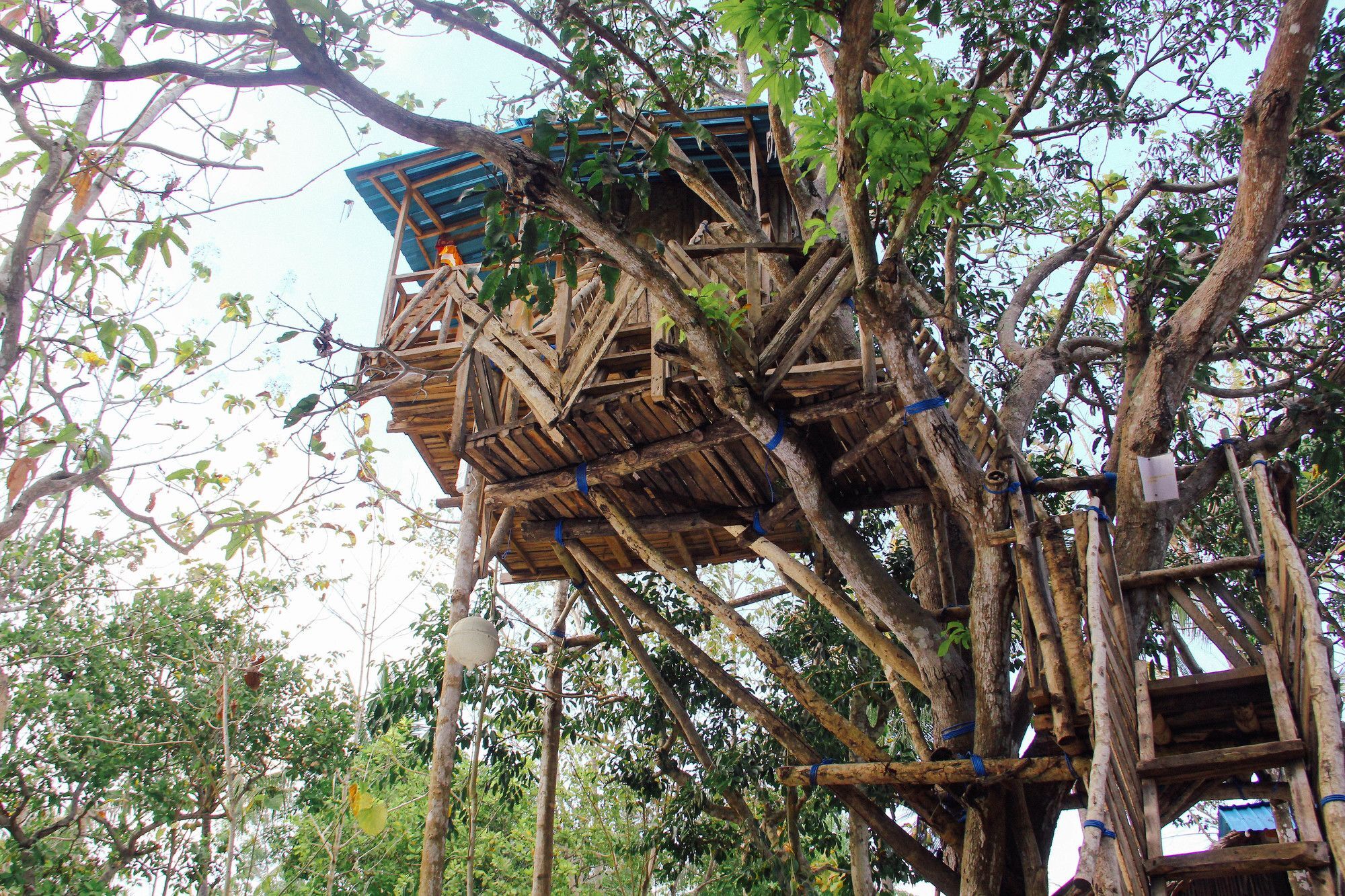 Nyuh Bengkok Tree House Hotel Batununggul Exterior photo